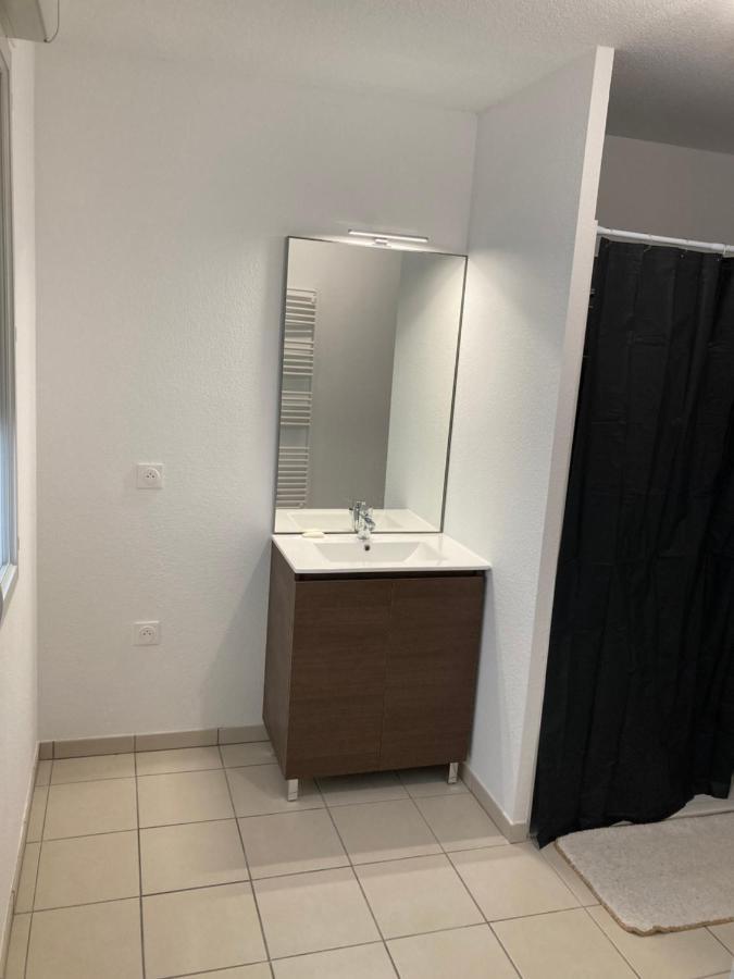 Appartement Meuble Тулуза Экстерьер фото